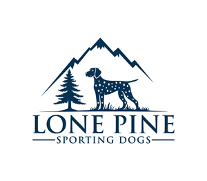 Logo Design by Nova_Create for this project | Design: #34462922