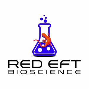 Logo Design by 4212