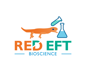 Logo Design by Noman Ghafoor