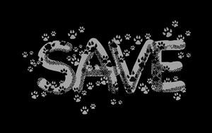 T-shirt Design by ARTIZIT for this project | Design: #34485038