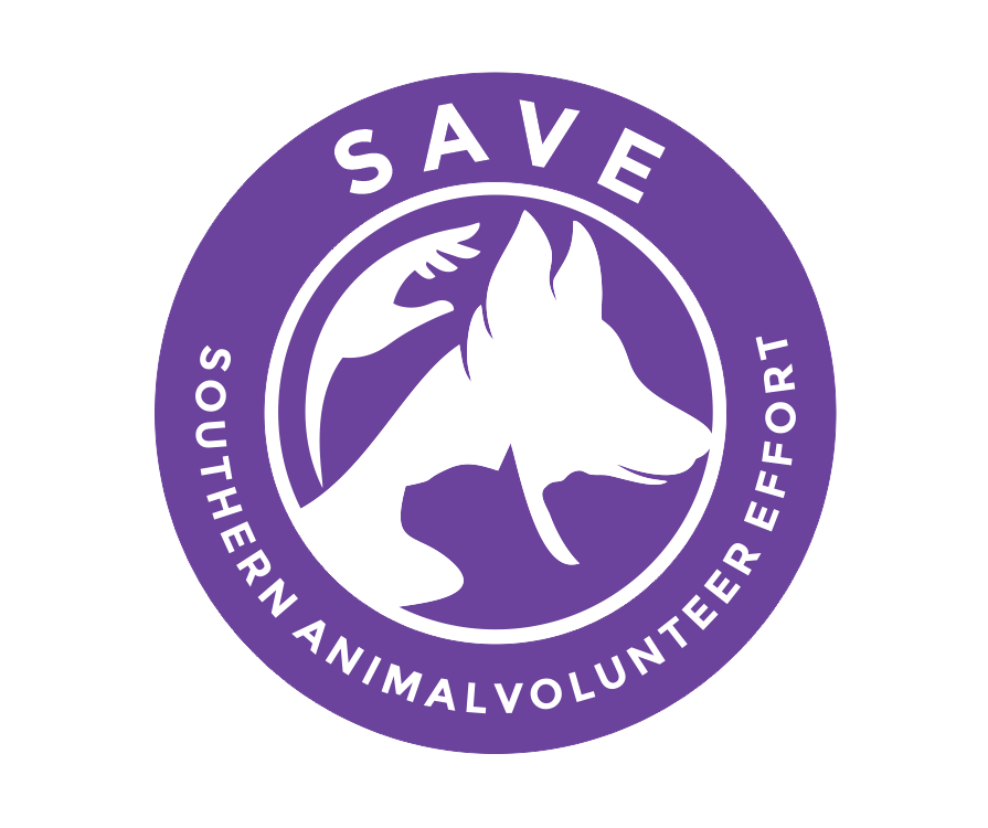 T-shirt Design by creativea for this project | Design #34495917