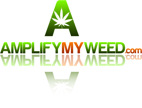 Logo Design by Stellar Designs for Mind Masters LLC | Design #69340