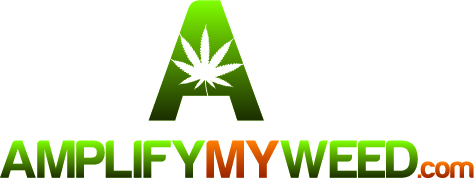 Logo Design by Stellar Designs for Mind Masters LLC | Design #69838