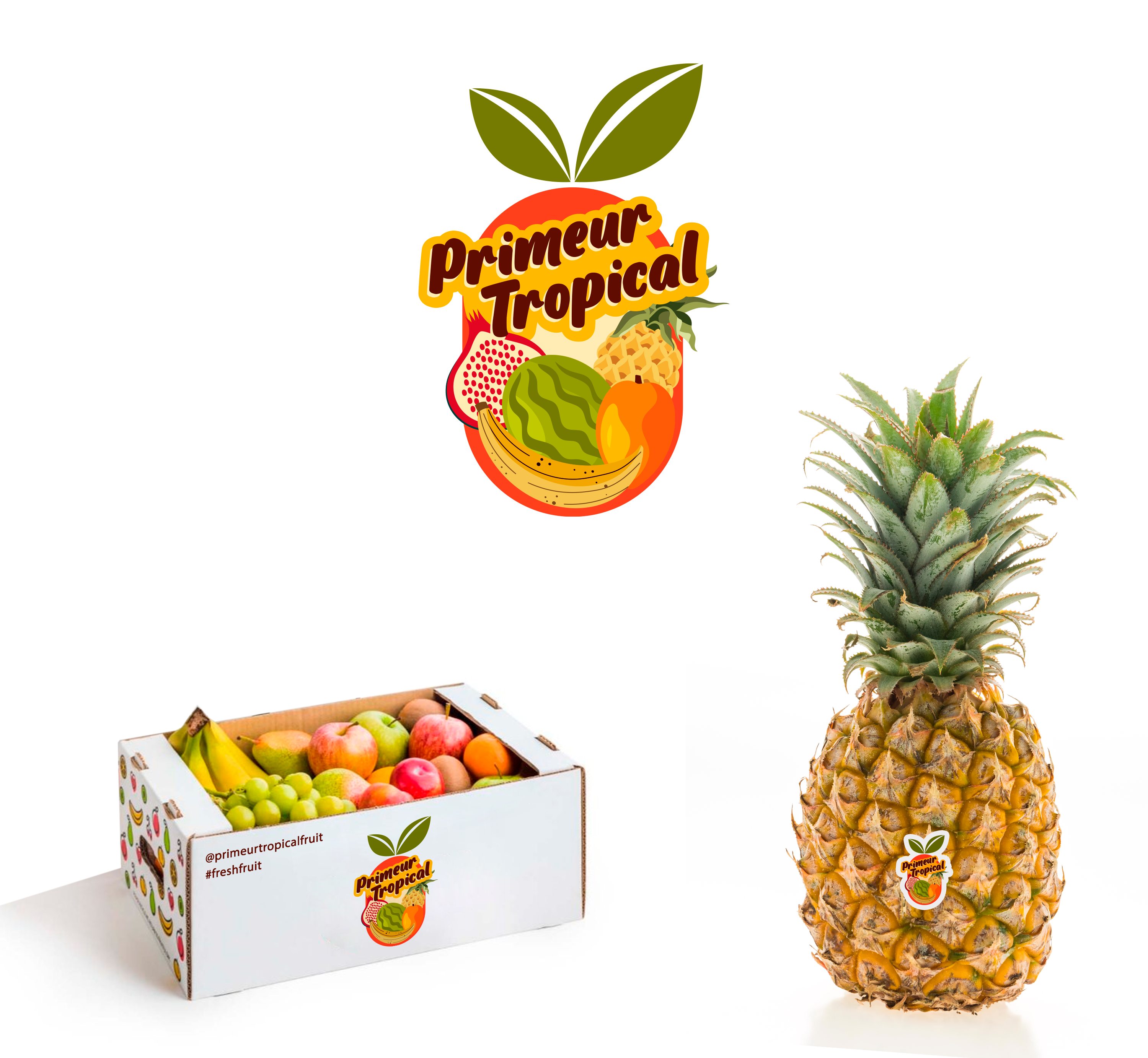 Diseño de Logo por COTTA - STUDIO para este proyecto | Diseño #34487259