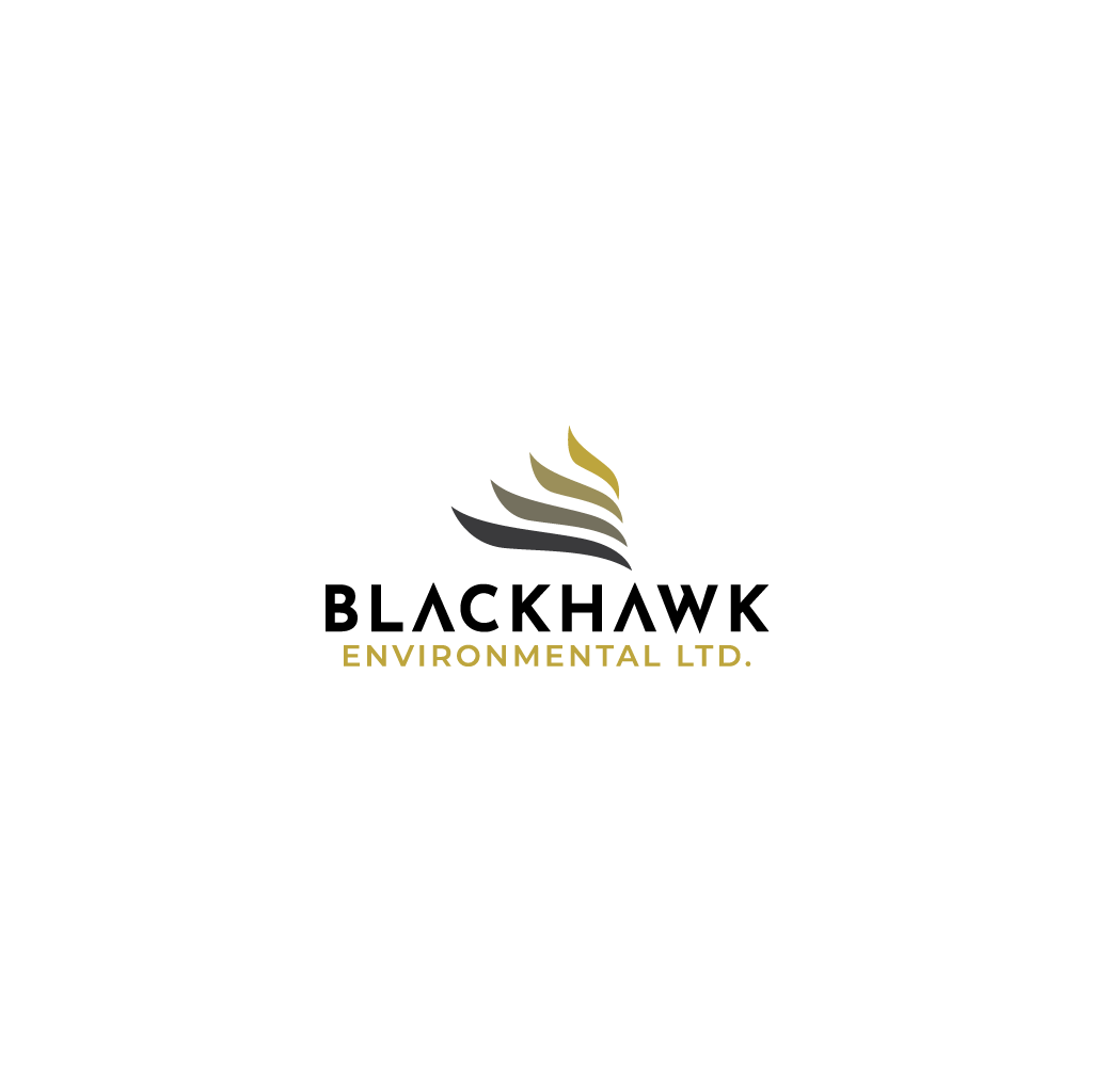 Diseño de Logo por Jerwin Intac para Shalor Consulting Ltd. | Diseño #34481073