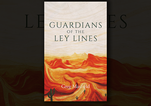 Book Cover Design by Lídia for this project | Design: #34500992
