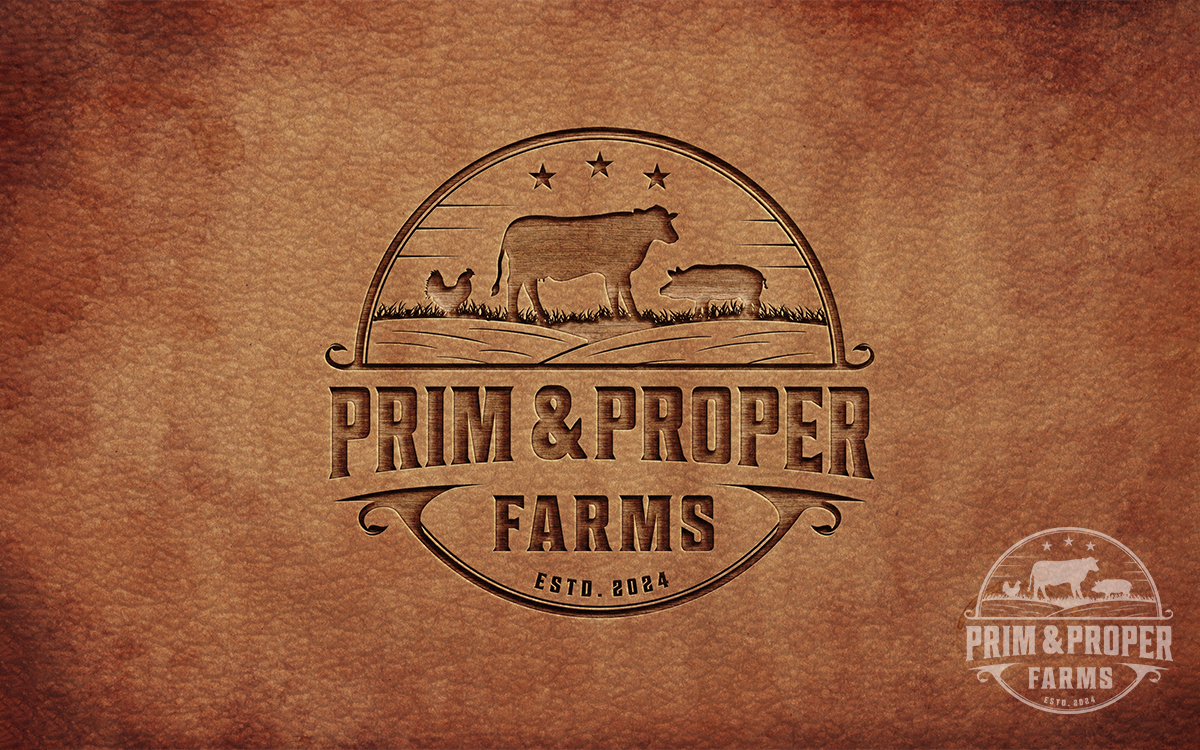 Diseño de Logo por Zonda Studio para este proyecto | Diseño #34483623