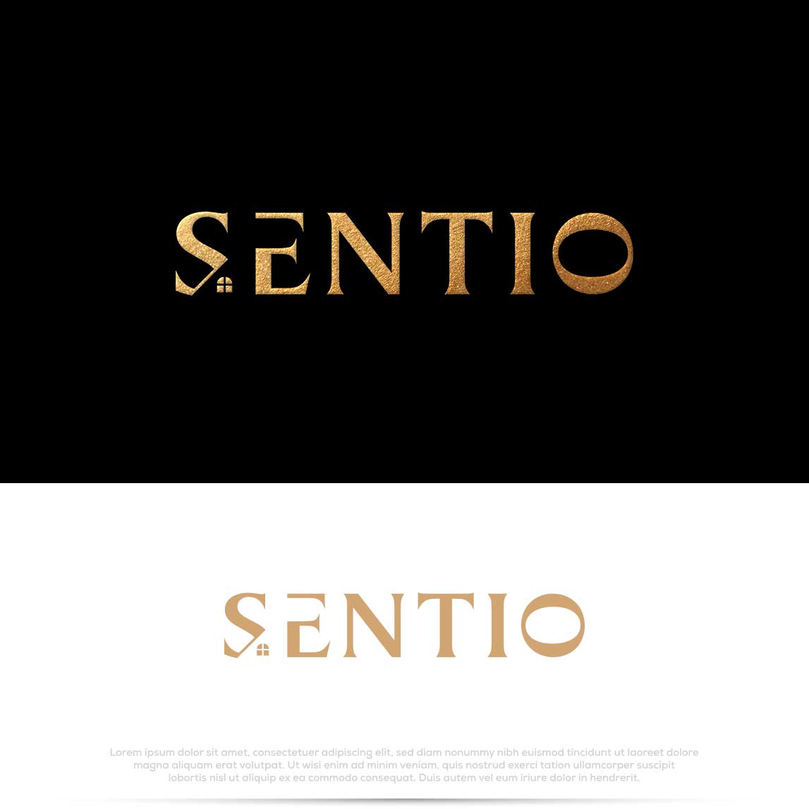 Logo Design by Pilot_DesignR™ for this project | Design #34492264