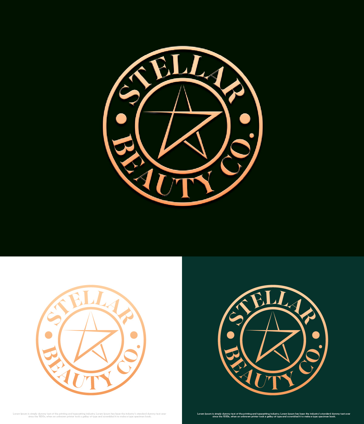 Logo Design by fly  design for this project | Design #34496974