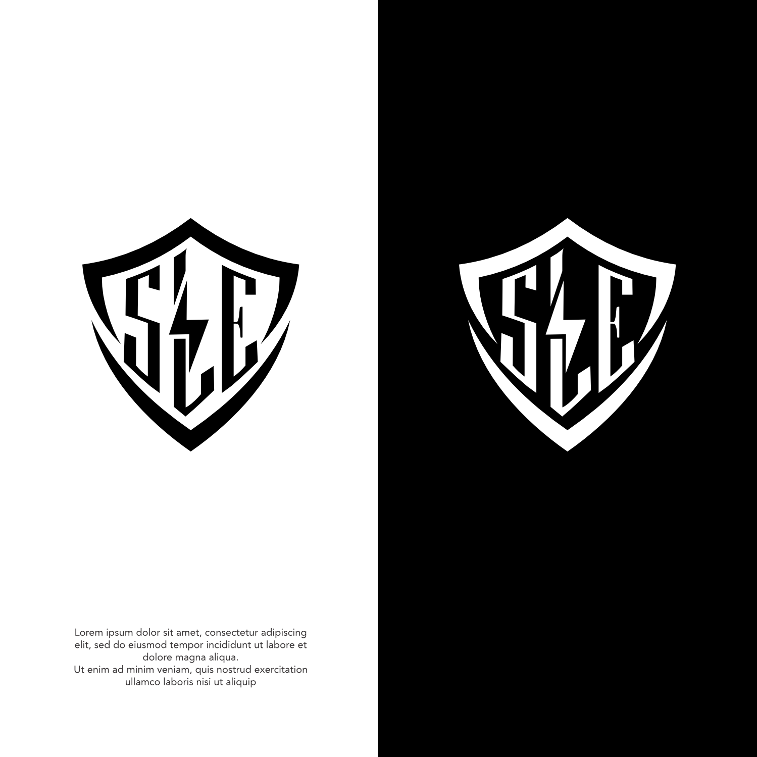 Diseño de Logo por ThiagoB para este proyecto | Diseño #34491946