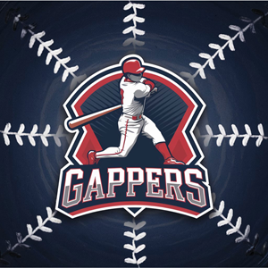 Logo Design by DesignVerse777 for this project | Design: #34506186