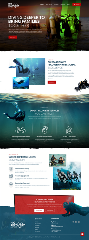 Web Design par nzdesigners pour ONEELEVEN | Design #34520637