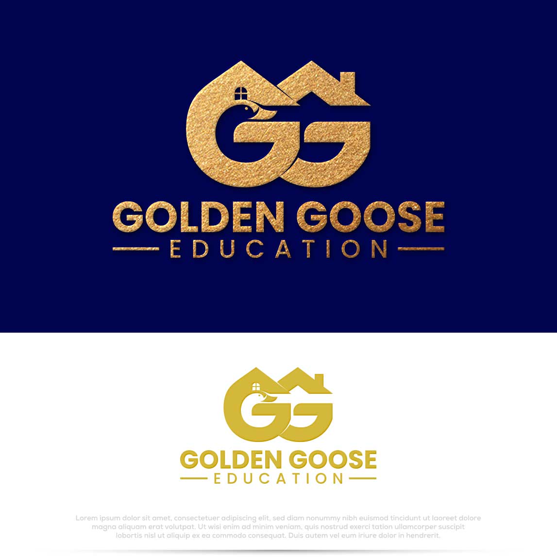 Logo Design by Pilot_DesignR™ for this project | Design #34513038