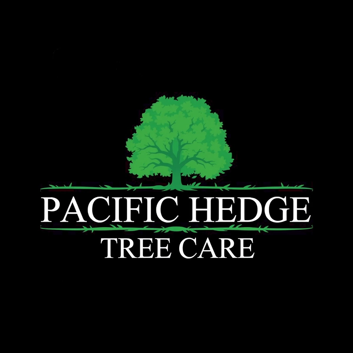 Logo Design by AMBStudio for Pacific Hedge Tree Care | Design #34519885