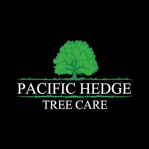 Design de Logo par AMBStudio pour Pacific Hedge Tree Care | Design : #34519885