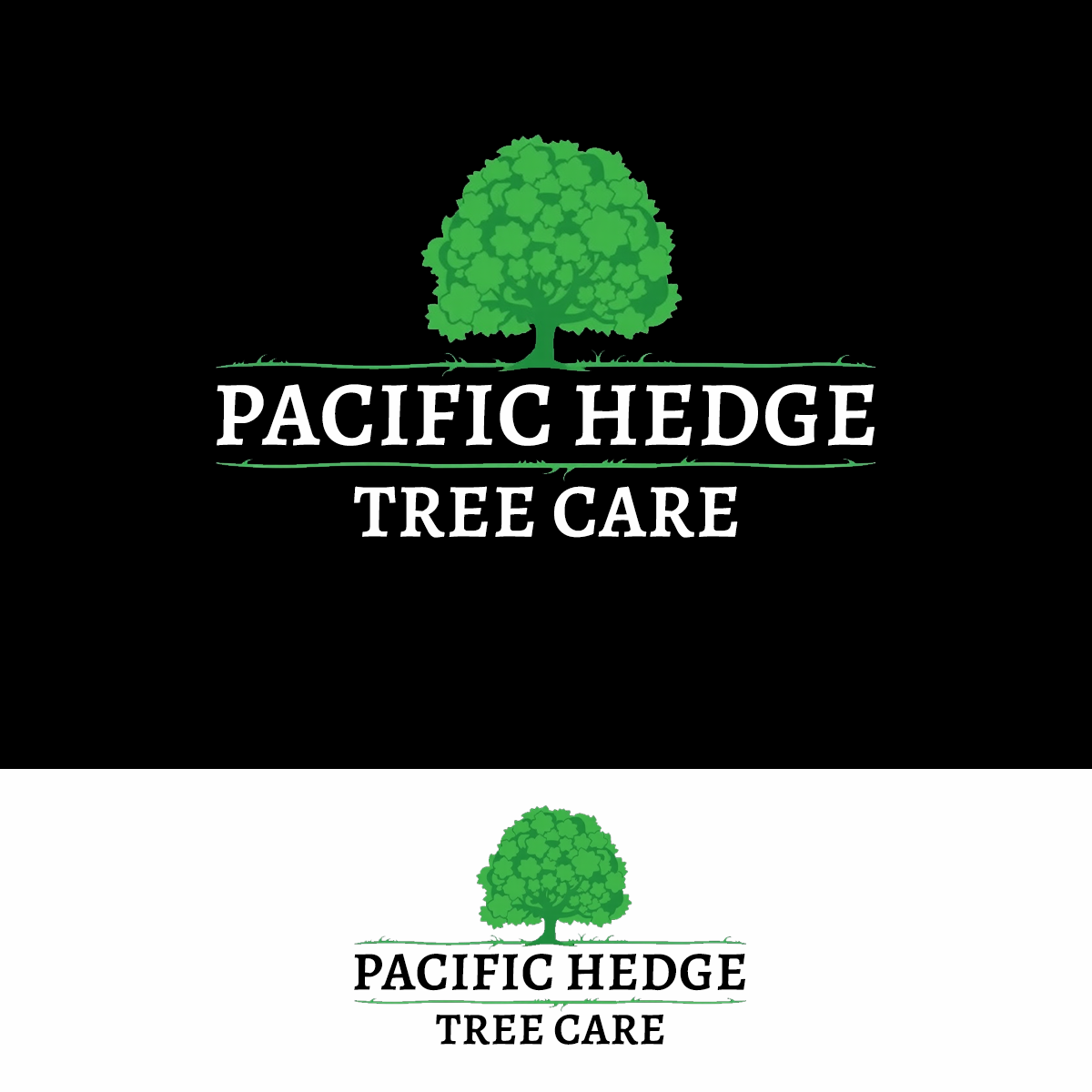 Logo Design by AMBStudio for Pacific Hedge Tree Care | Design #34519955