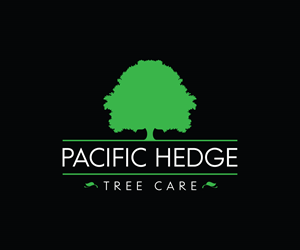 Logo Design by Neil for Pacific Hedge Tree Care | Design: #34517458