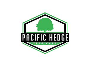 Logo Design by renderman for Pacific Hedge Tree Care | Design #34519606