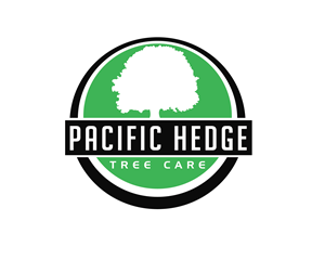 Logo Design by renderman for Pacific Hedge Tree Care | Design: #34519881