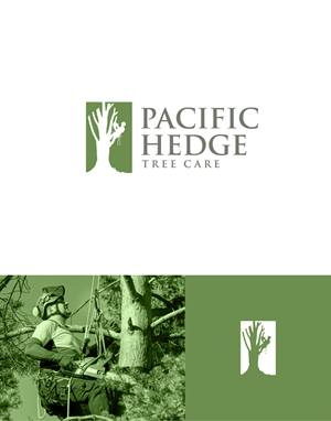 Logo Design by apik. for Pacific Hedge Tree Care | Design: #34517017