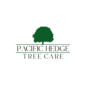 Logo Design by kalongg langgeng jaya