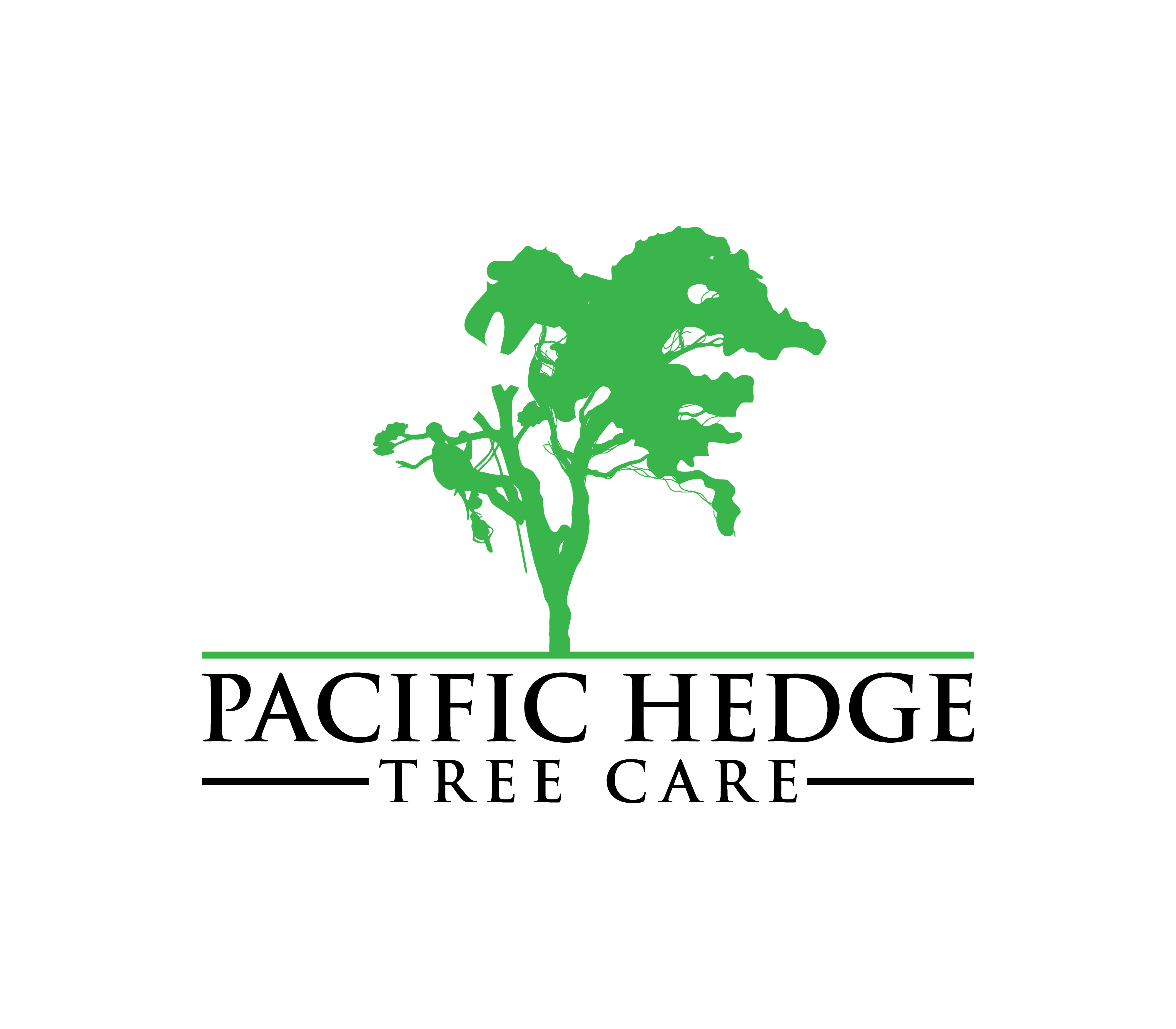 Logo Design by Nova_Create for Pacific Hedge Tree Care | Design #34520624