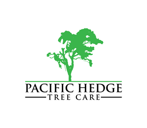 Design de Logo par Nova_Create pour Pacific Hedge Tree Care | Design : #34520624