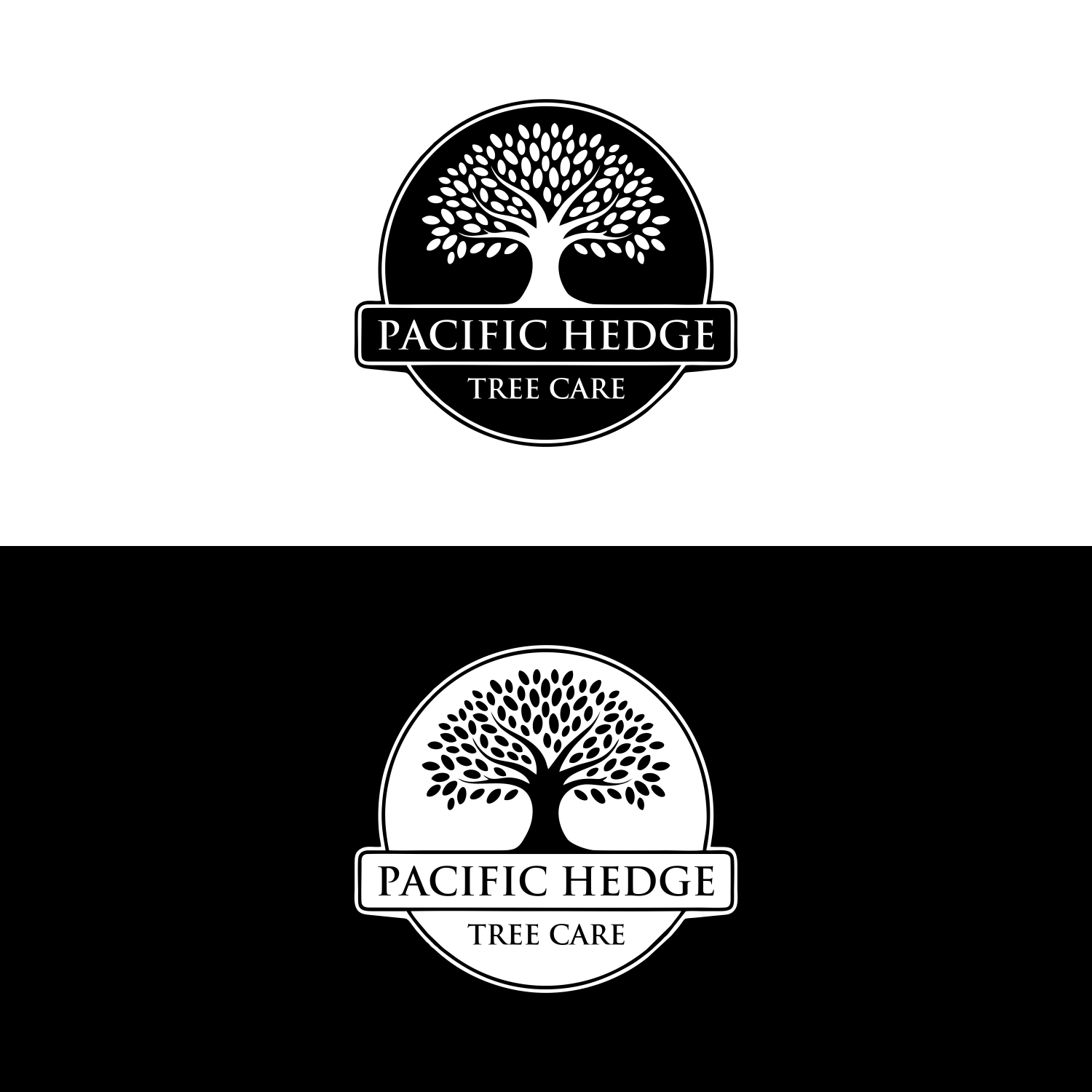 Logo-Design von anak hits für Pacific Hedge Tree Care | Design #34516772