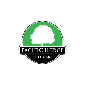 Logo Design by anak hits for Pacific Hedge Tree Care | Design: #34521722