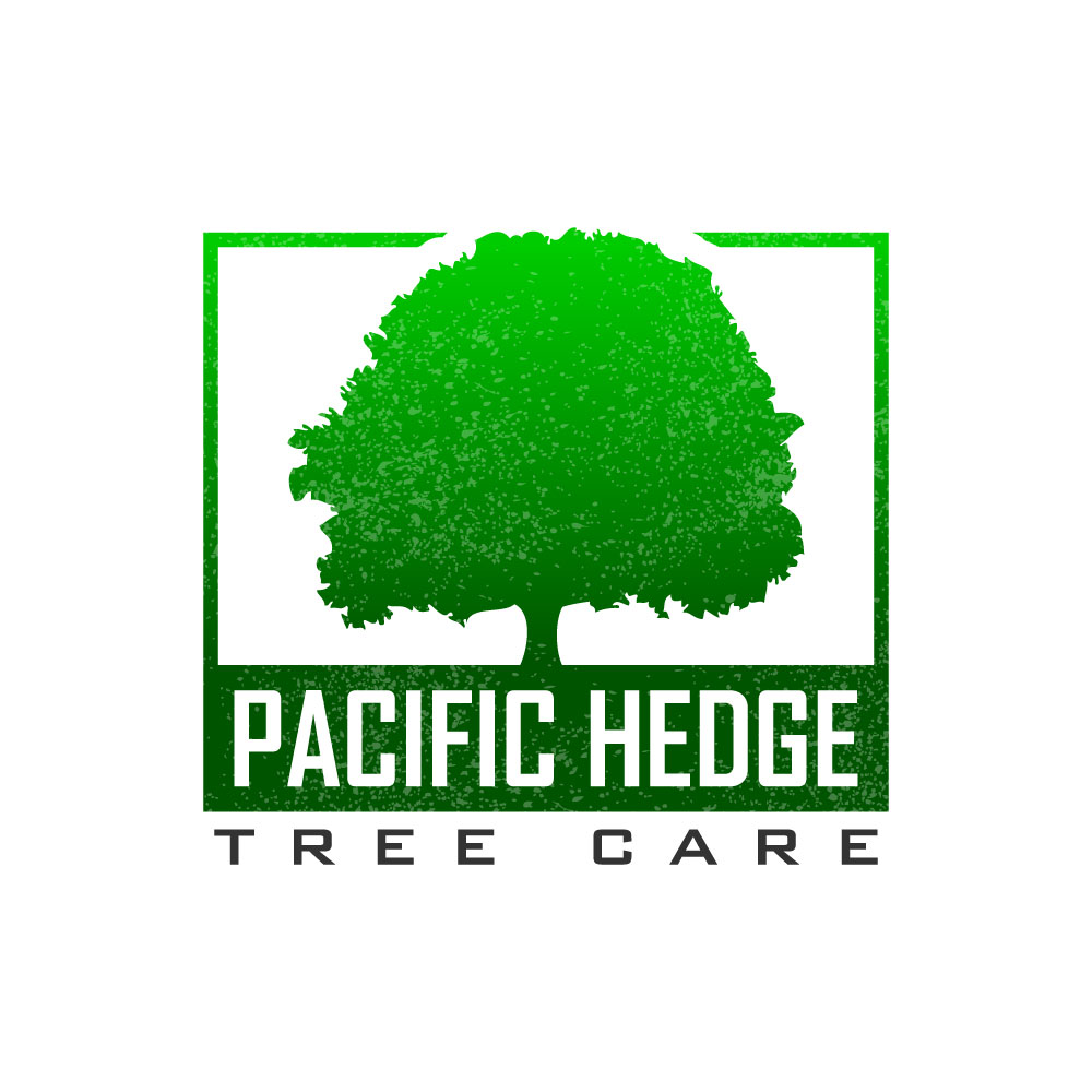 Design de Logo par Krold IT Solutions pour Pacific Hedge Tree Care | Design #34518306