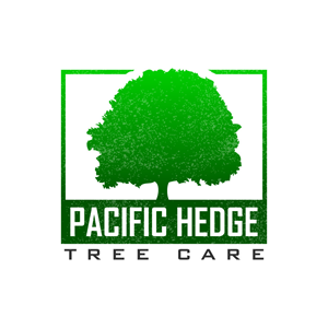 Design de Logo par Krold IT Solutions pour Pacific Hedge Tree Care | Design : #34518306