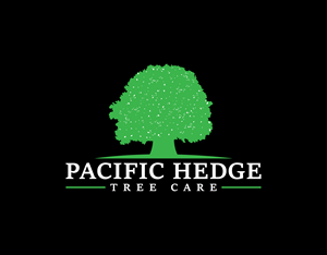 Logo Design by Ameer007