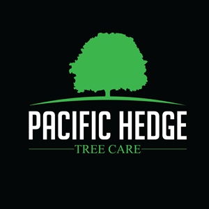 Logo Design by GraFinito for Pacific Hedge Tree Care | Design: #34522699
