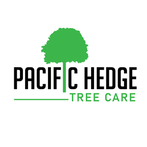 Logo Design by GraFinito for Pacific Hedge Tree Care | Design: #34535818