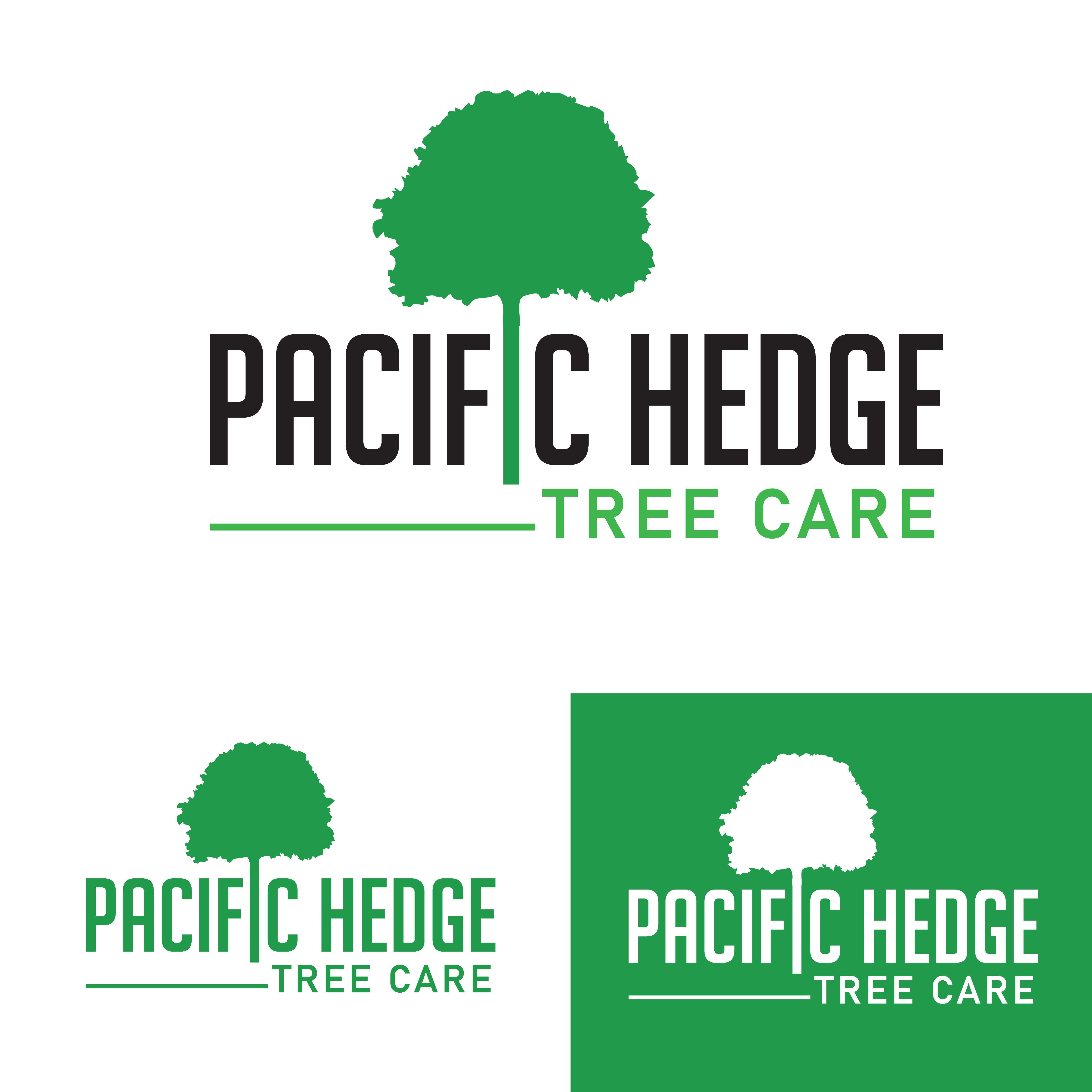 Logo Design by GraFinito for Pacific Hedge Tree Care | Design #34546486