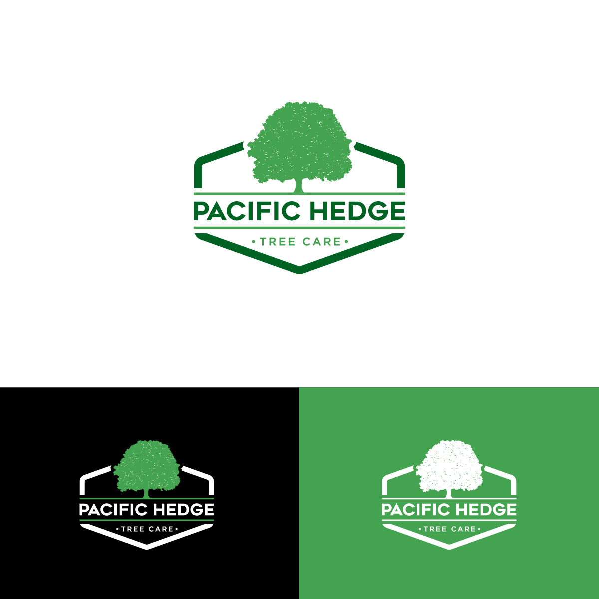 Logo Design by Barish Design for Pacific Hedge Tree Care | Design #34518751