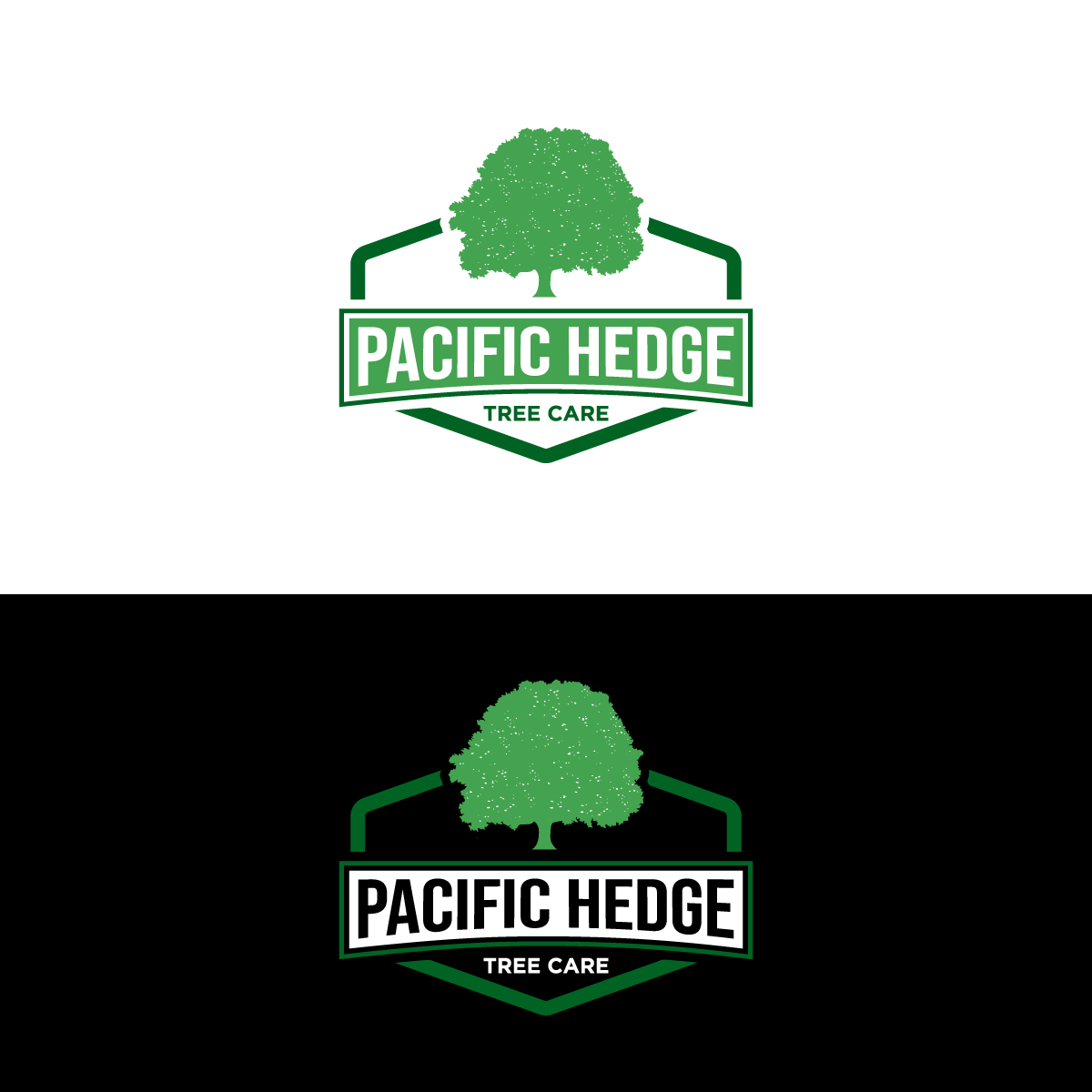 Logo-Design von Barish Design für Pacific Hedge Tree Care | Design #34518909