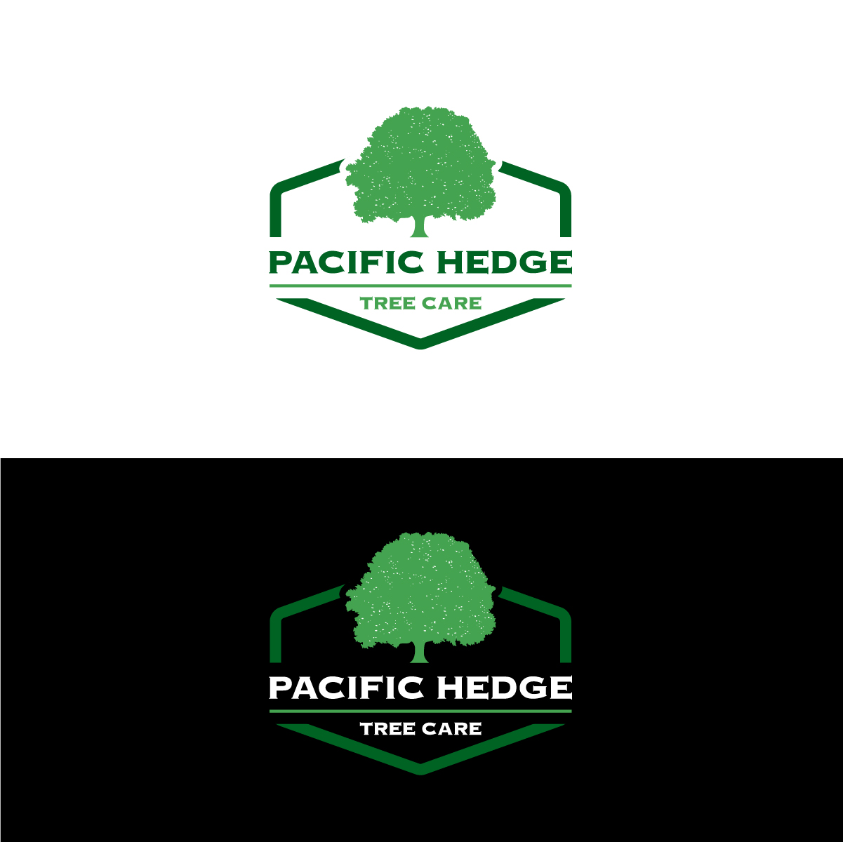 Logo Design by Barish Design for Pacific Hedge Tree Care | Design #34518910