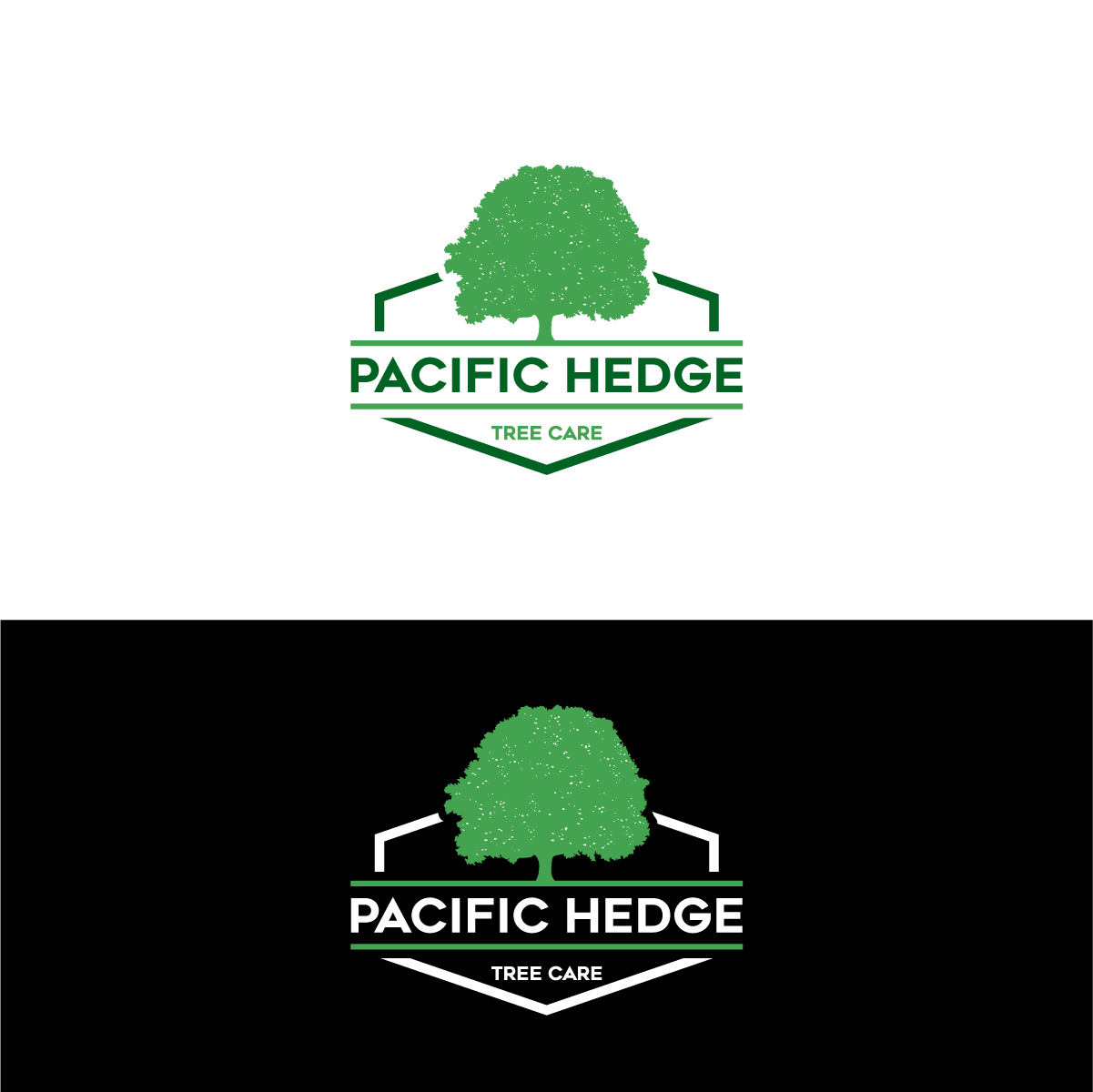 Logo Design by Barish Design for Pacific Hedge Tree Care | Design #34522494
