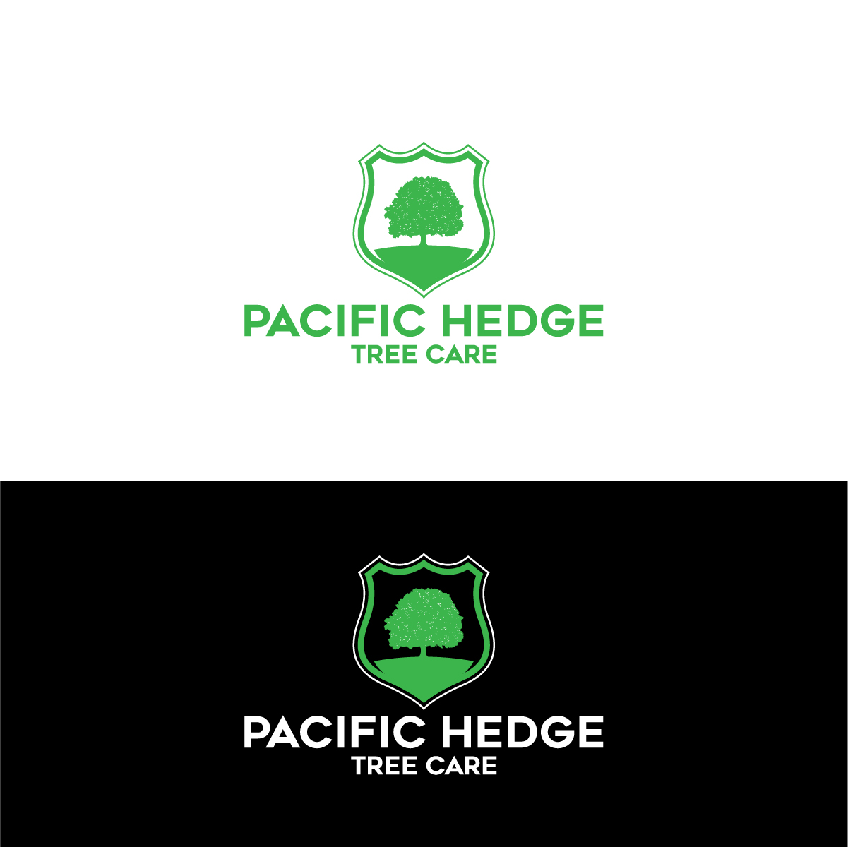 Logo Design by Barish Design for this project | Design #34522495