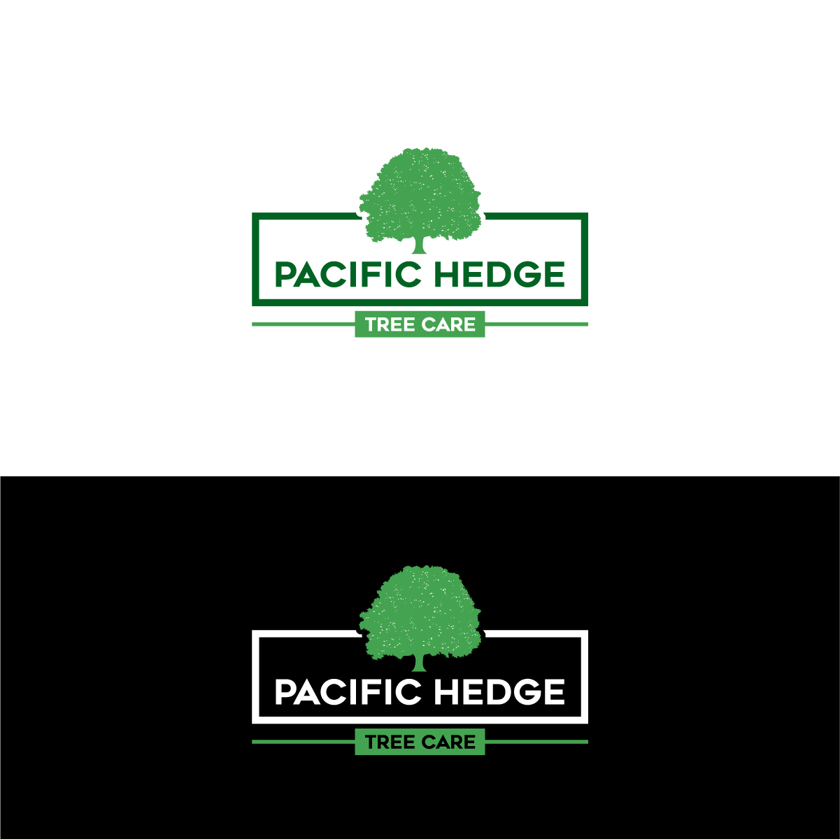 Logo-Design von Barish Design für Pacific Hedge Tree Care | Design #34522498