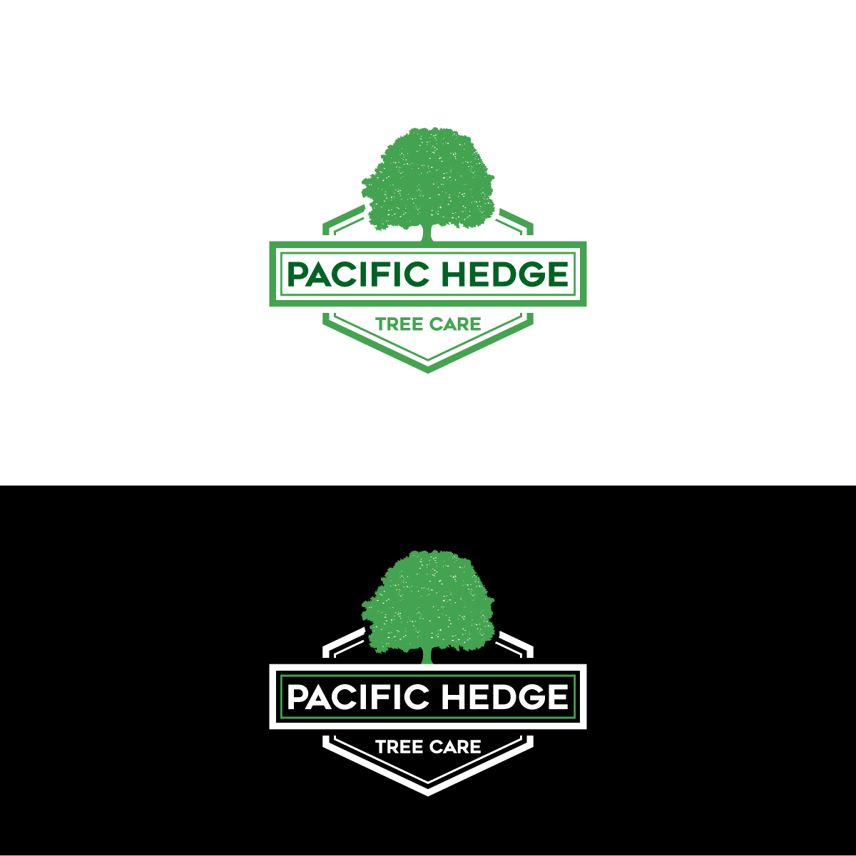 Diseño de Logo por Barish Design para Pacific Hedge Tree Care | Diseño #34522503