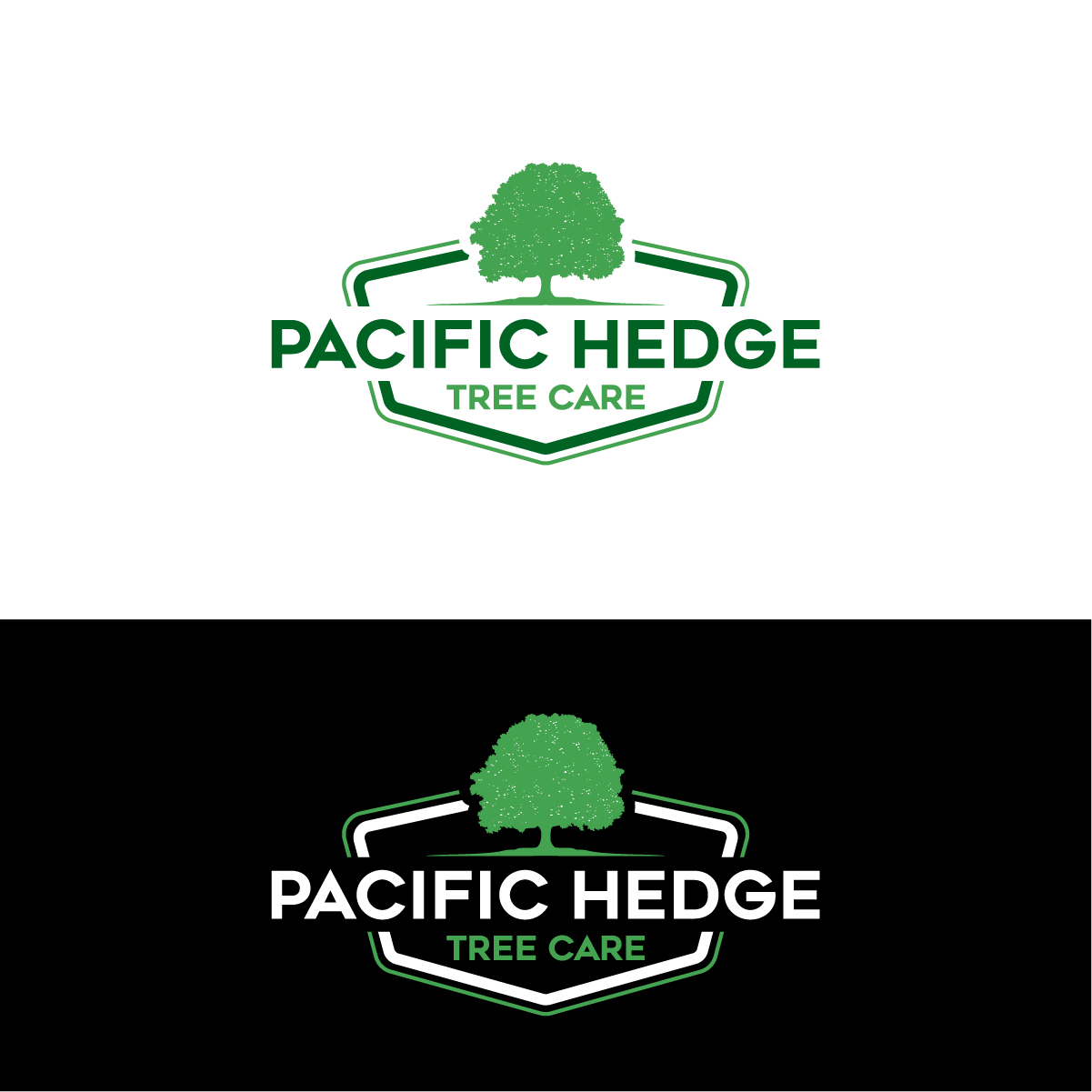 Logo Design by Barish Design for Pacific Hedge Tree Care | Design #34522504