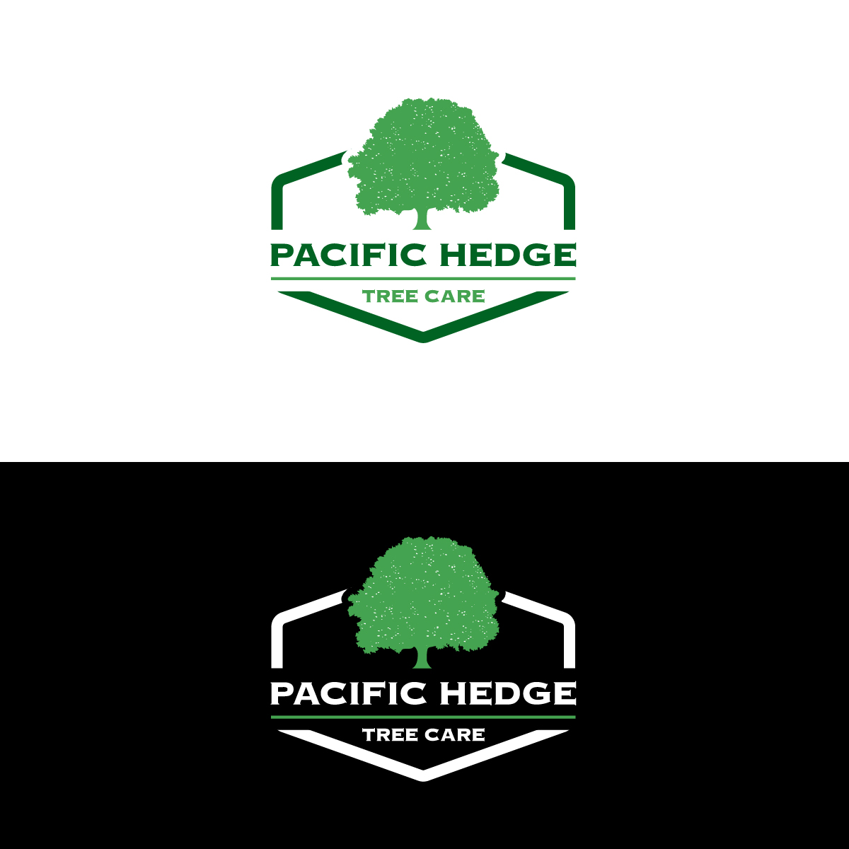 Logo Design by Barish Design for Pacific Hedge Tree Care | Design #34527321