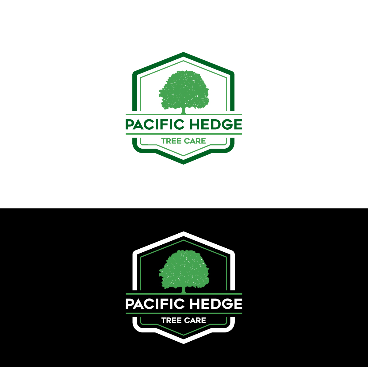 Logo-Design von Barish Design für Pacific Hedge Tree Care | Design #34527336