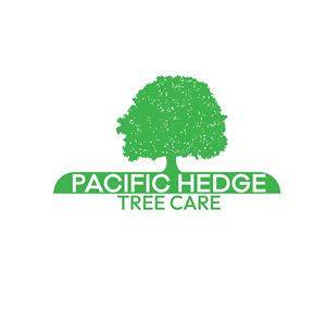 Logo Design by Halal_Designs786 for Pacific Hedge Tree Care | Design: #34522571