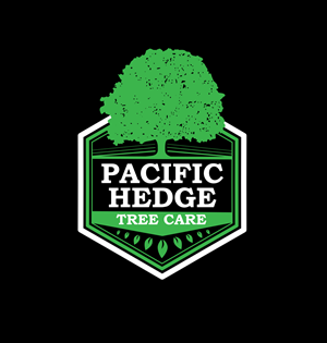 Logo Design by Craze