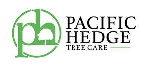 Diseño de Logo por GLDesigns para Pacific Hedge Tree Care | Diseño: #34519062
