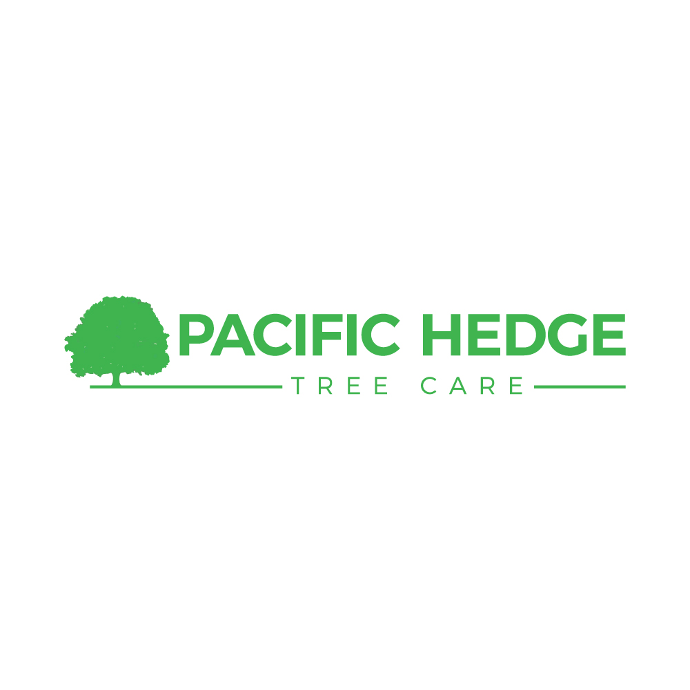 Logo Design by H4R5Z for Pacific Hedge Tree Care | Design #34518498