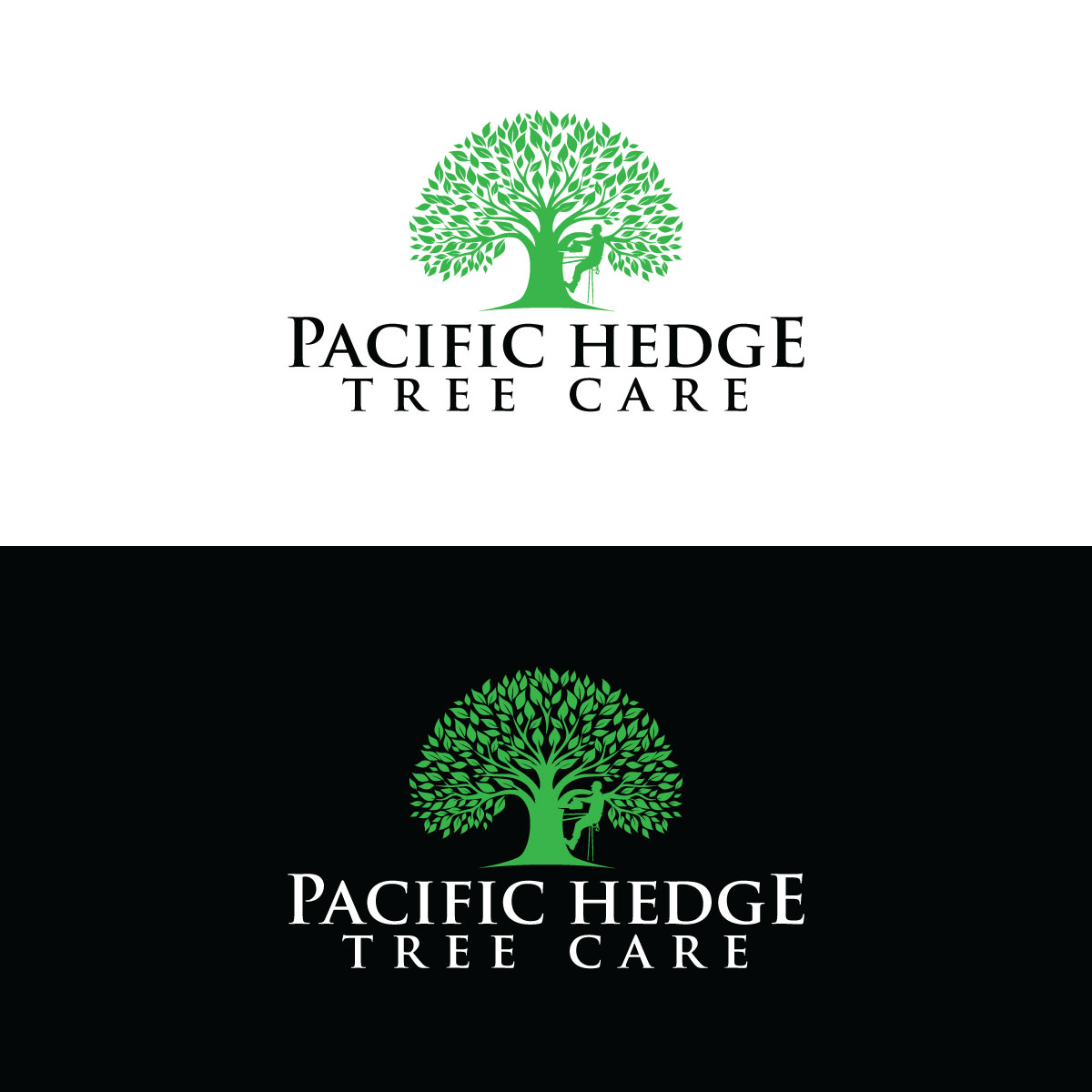 Logo Design by prodesigns99 for Pacific Hedge Tree Care | Design #34518191